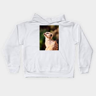 Meerkat Kids Hoodie